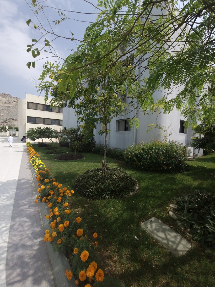 ☆Raghad☆♪ tweet media