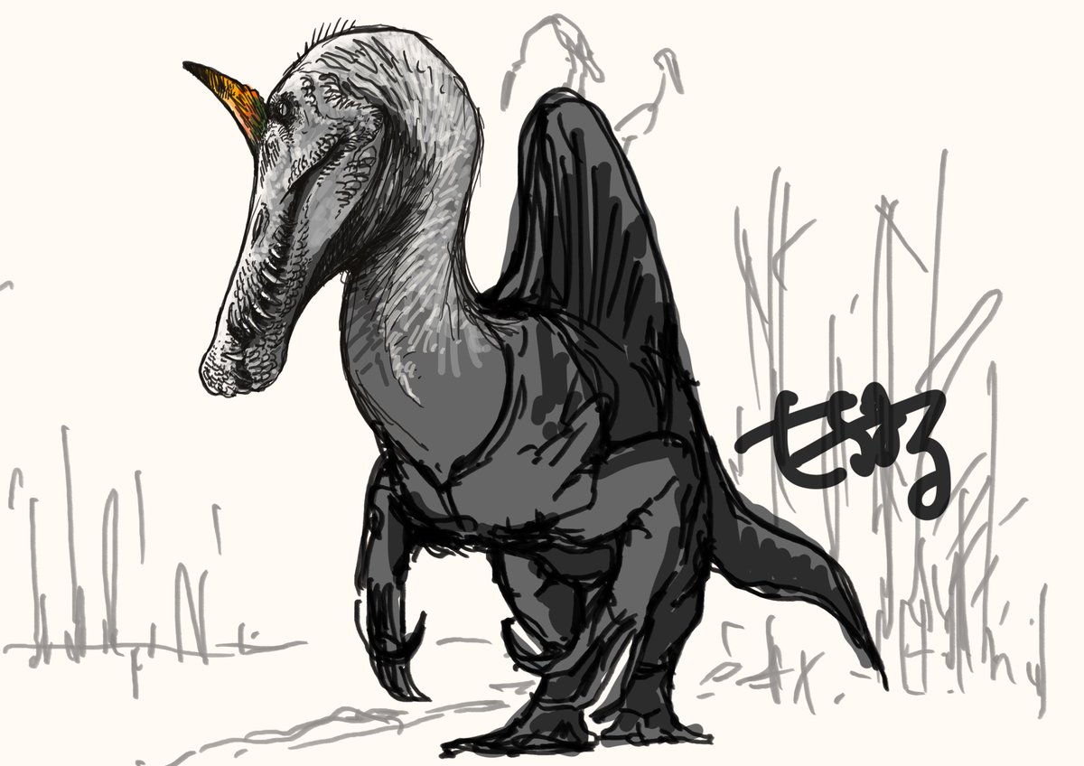 もちまる tweet media