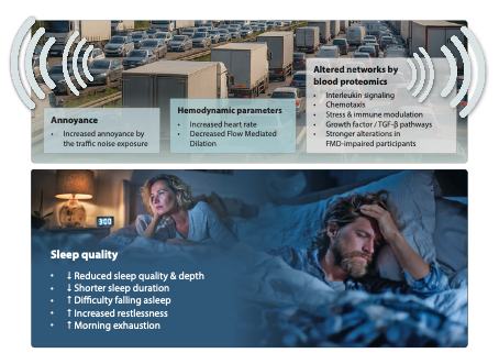 OmarHahad's tweet photo. Happy to share our study showing that one night of moderate road traffic noise impairs vascular function, increases heart rate, disrupts sleep, and modulates immune, vascular, and stress-related proteomic pathways in healthy adults. https://t.co/EQ1Mownd6x
https://t.co/lUUcEIK0hm https://t.co/WF2ZoEigpx
