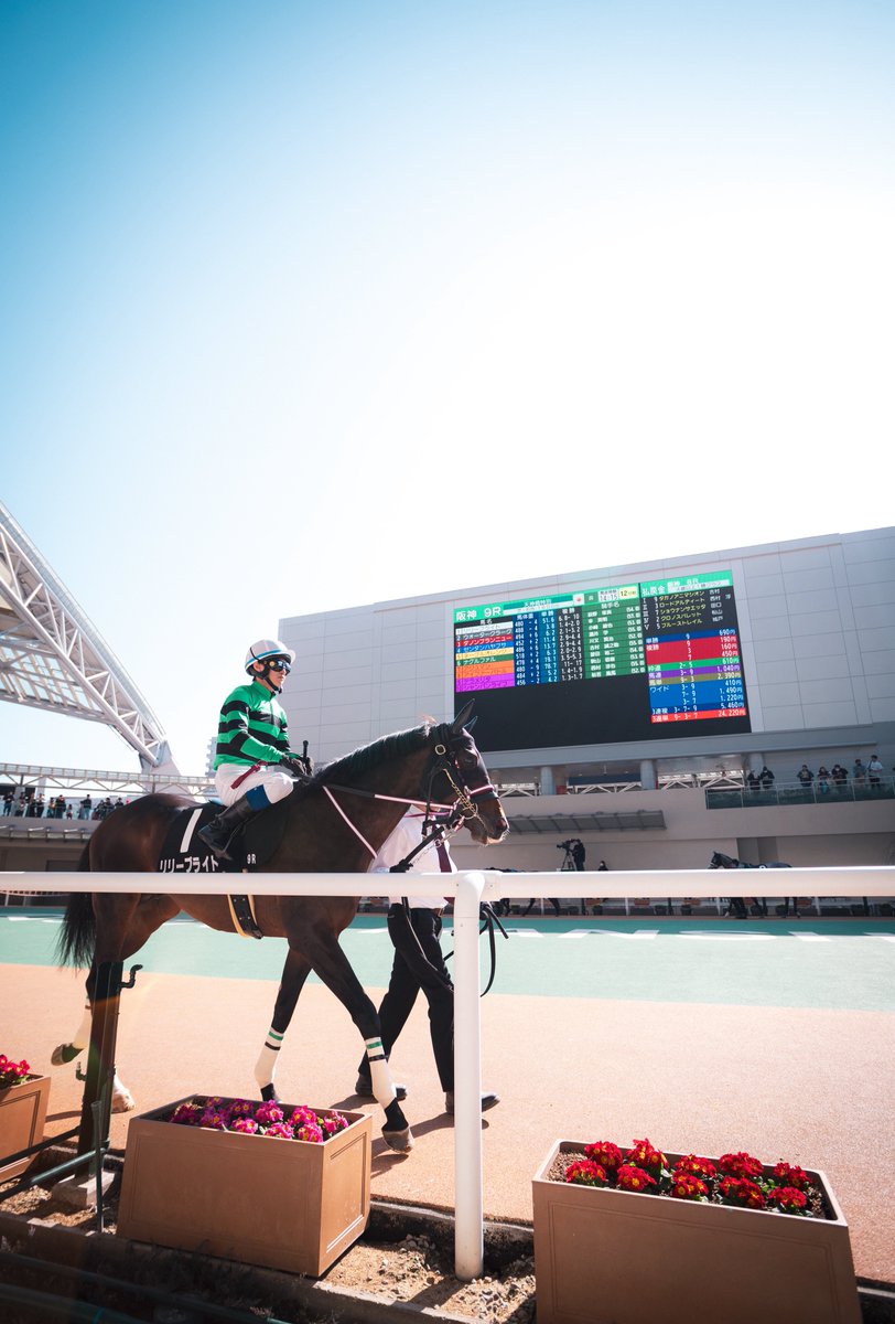 stay_h_p's tweet photo. #阪神競馬
#リリーブライト
#荻野琢真
#17mm https://t.co/L1s2bw4ezb