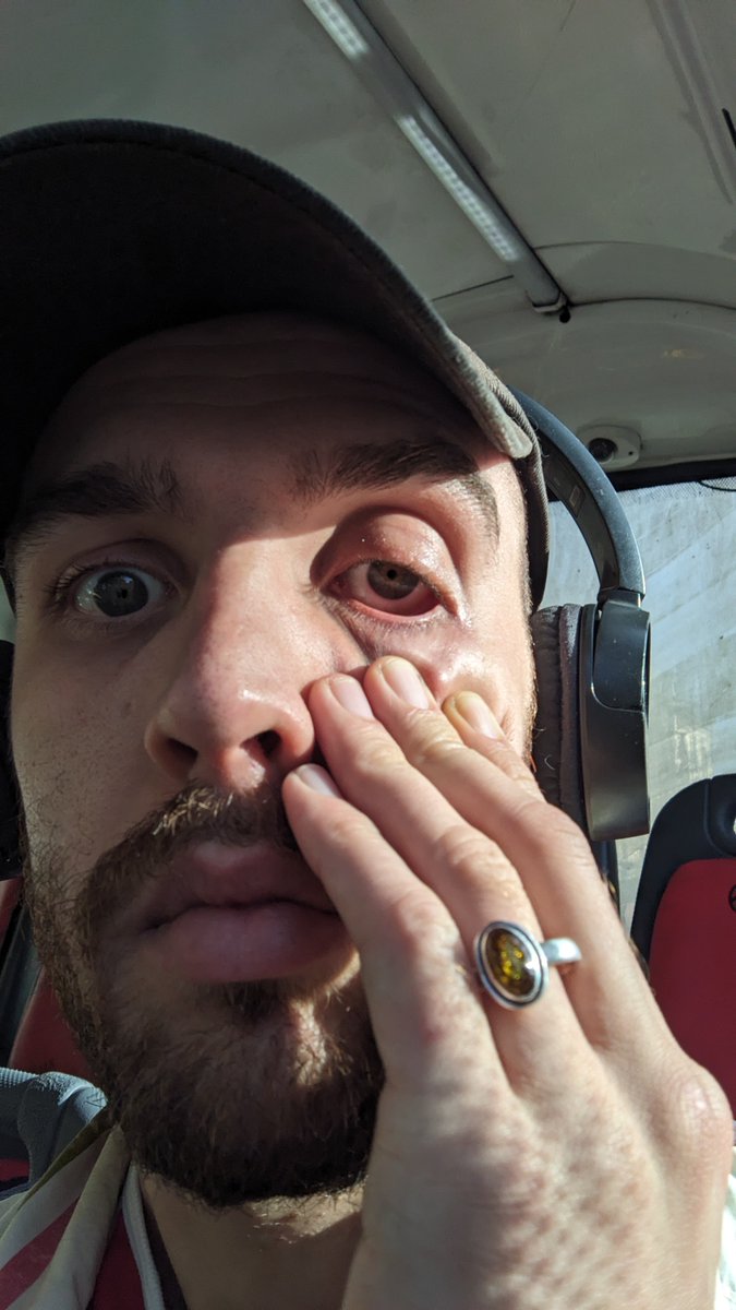 sandro b. tweet media