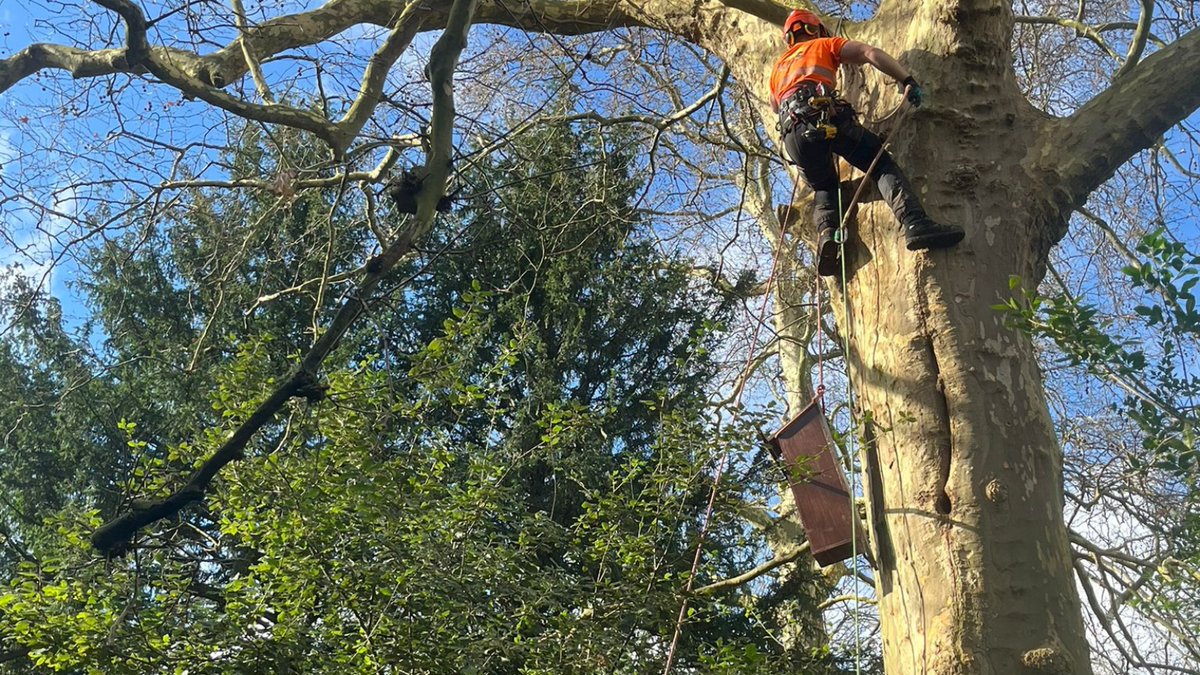 Wild Wandsworth: our new Biodiversity Action Plan 2026 – 2031 🌿

We have committed to clear actions to make nature accessible, fair and thriving, so everyone can enjoy nature close to home 🐝

Together, we’re creating a greener, happier Wandsworth.

orlo.uk/LgGOS