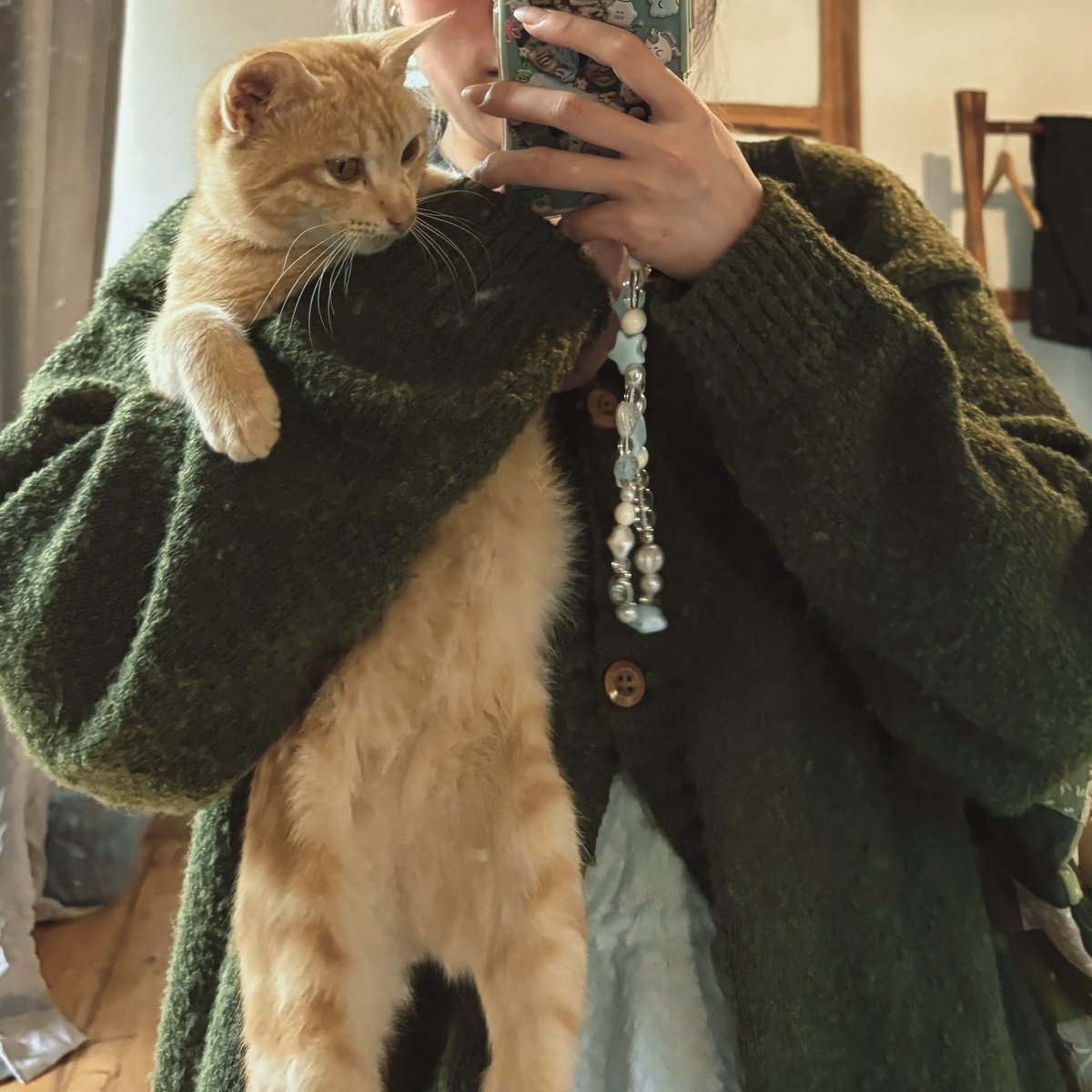 onenonly_lena's tweet photo. my lil cutie patootie tiny cattt https://t.co/rGhnPng5lc
