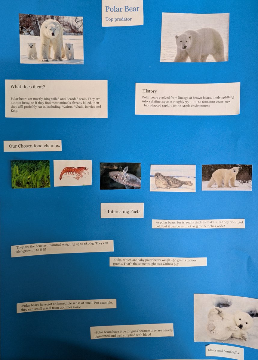 goringprimary tweet media