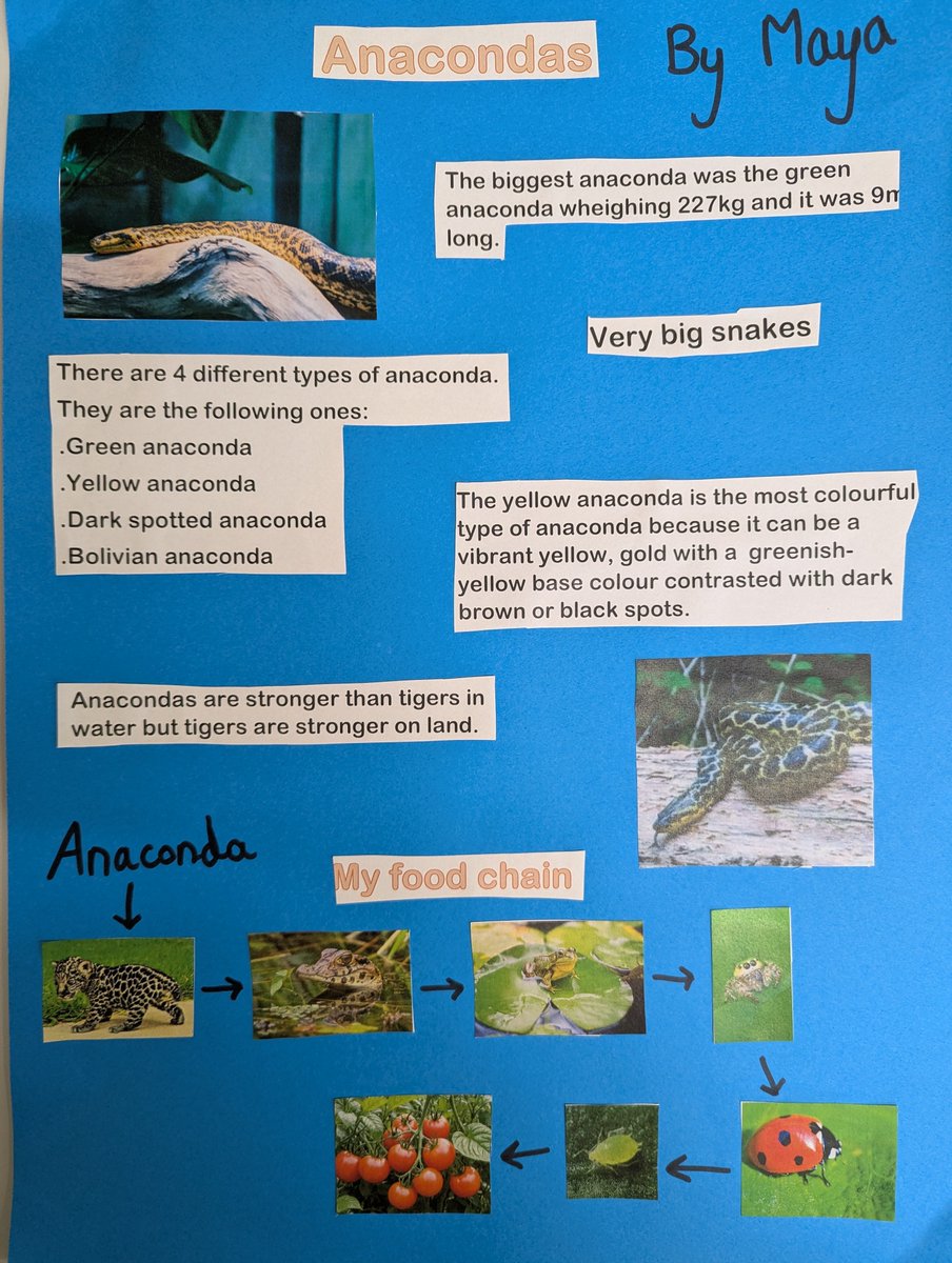 goringprimary tweet media