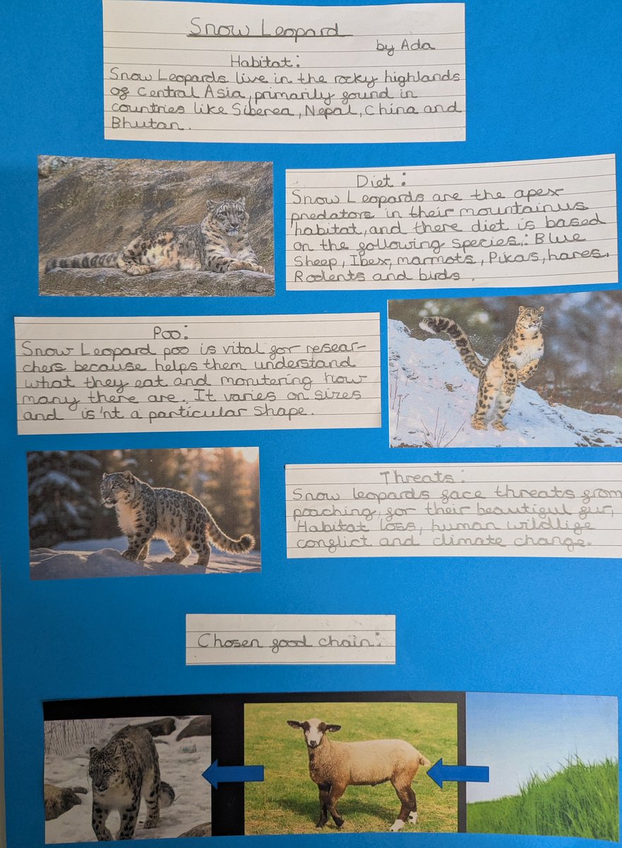 goringprimary tweet media