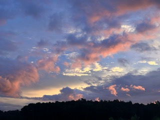 Grace Anello Tuberville tweet media