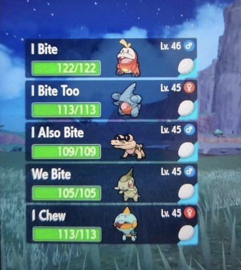 Bite team!