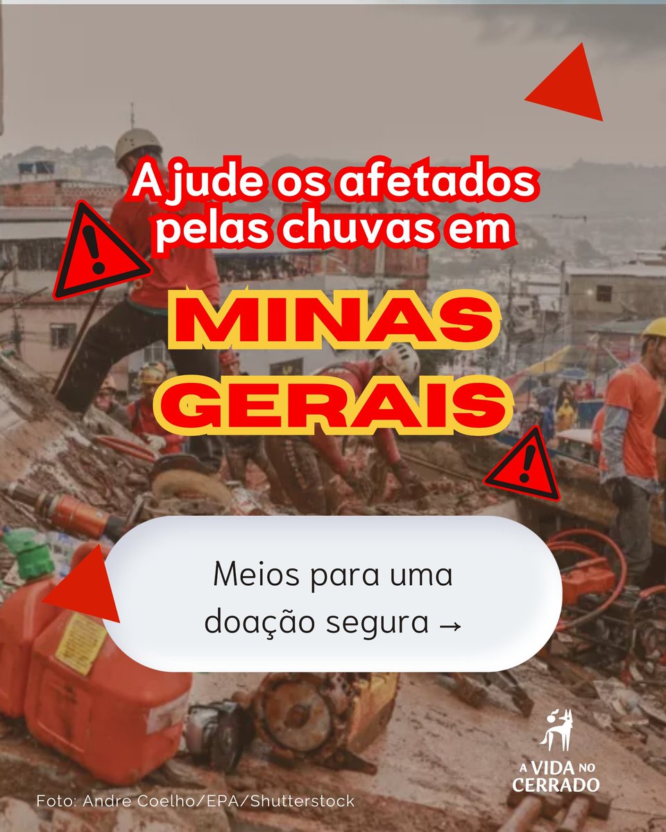 A vida no Cerrado - AVINC tweet media