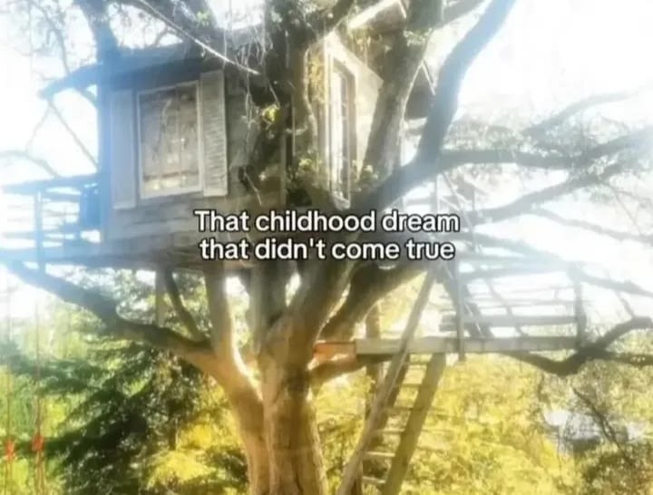 𝓁𝒾𝓁𝓎. (@iridescelily) on Twitter photo 