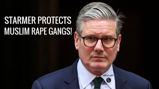 The Lion Report tweet media