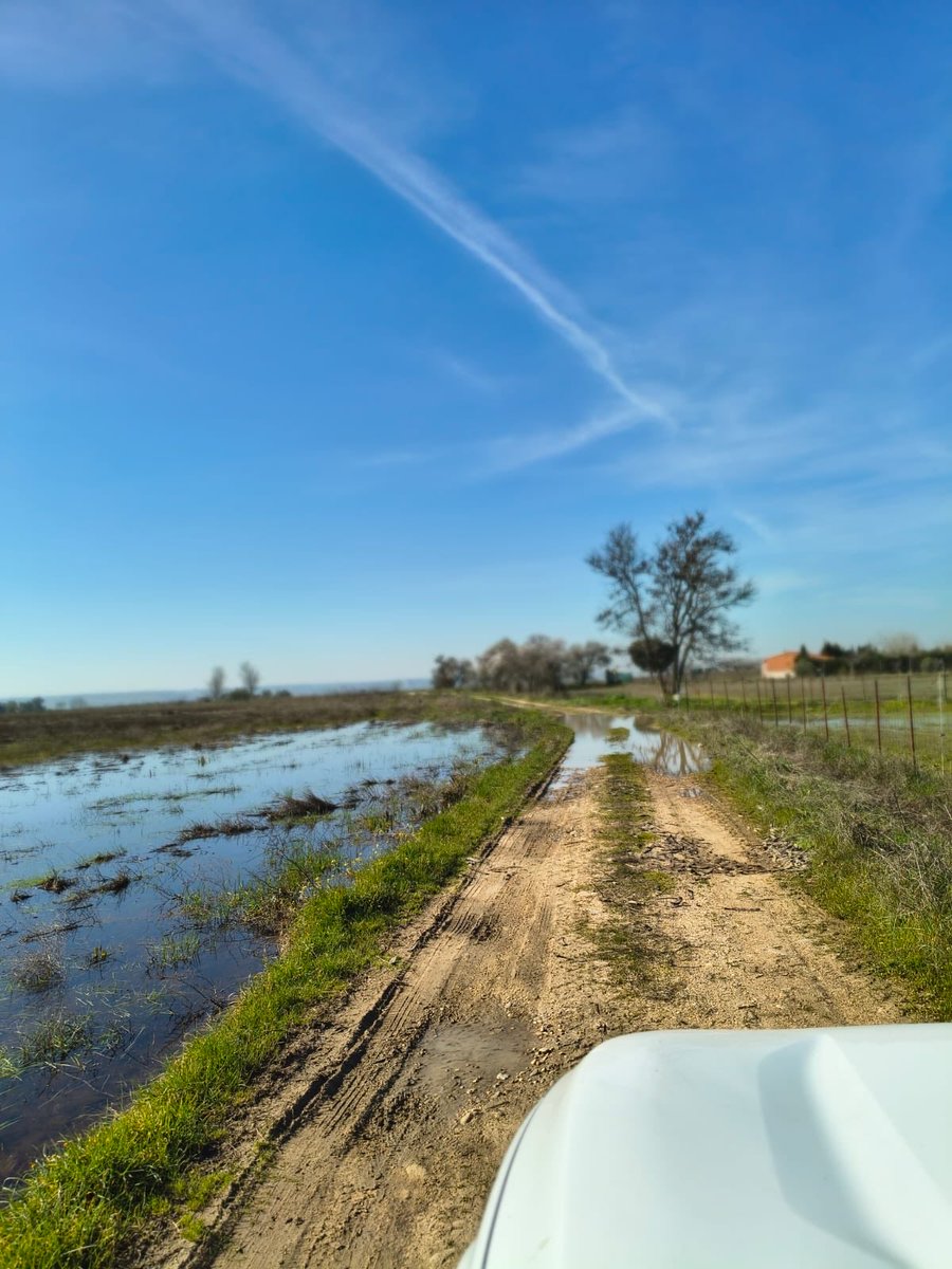 PP de Toledo tweet media