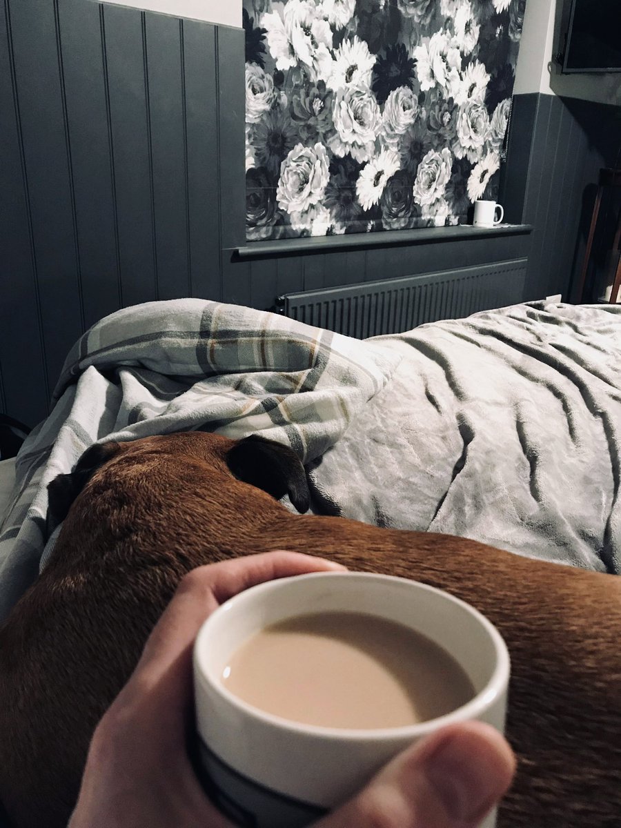 karen thompson tweet media