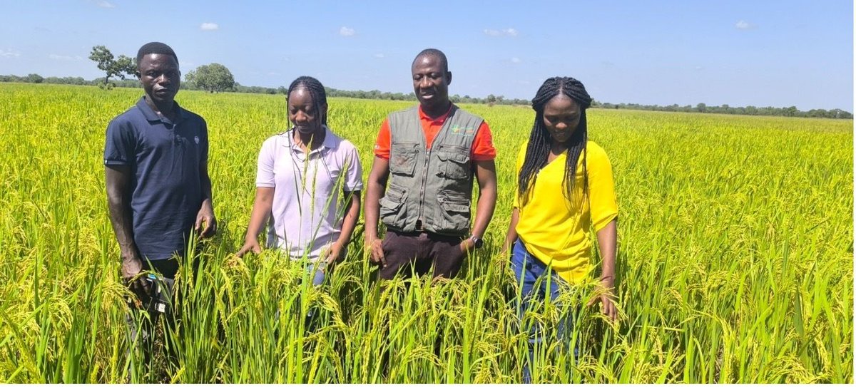 Seed Systems Group tweet media