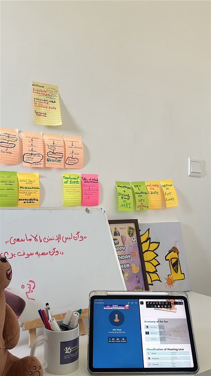 ‏ ‏Raneem tweet media