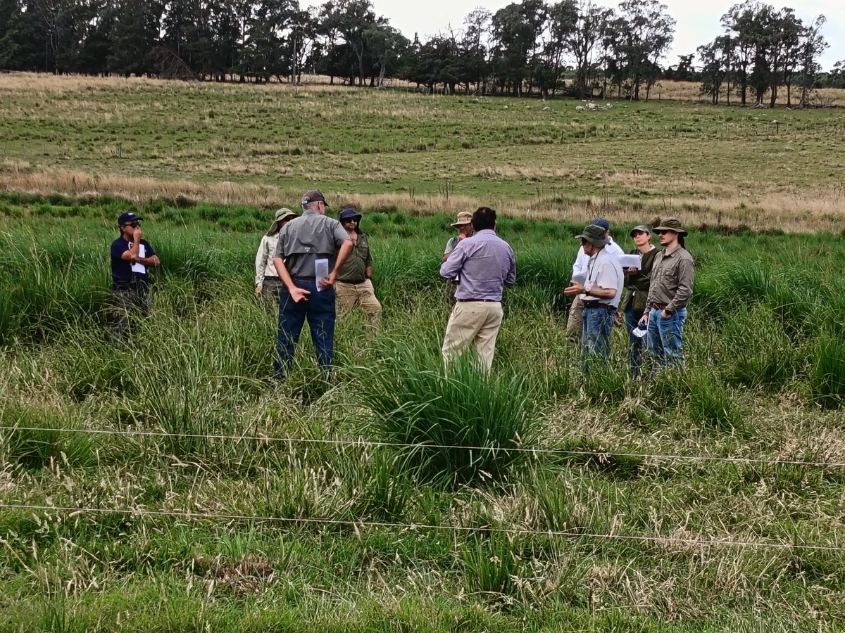 efederiko's tweet photo. Jornada pasturas regadas en el ciedag, pasturas regadas por pivot y desnivel https://t.co/tldN0YOlM6