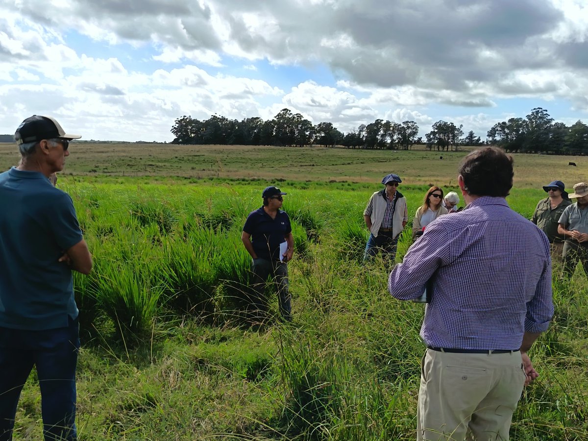 efederiko's tweet photo. Jornada pasturas regadas en el ciedag, pasturas regadas por pivot y desnivel https://t.co/tldN0YOlM6
