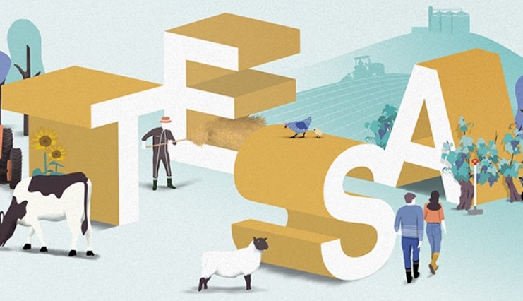 MSA Armorique tweet media