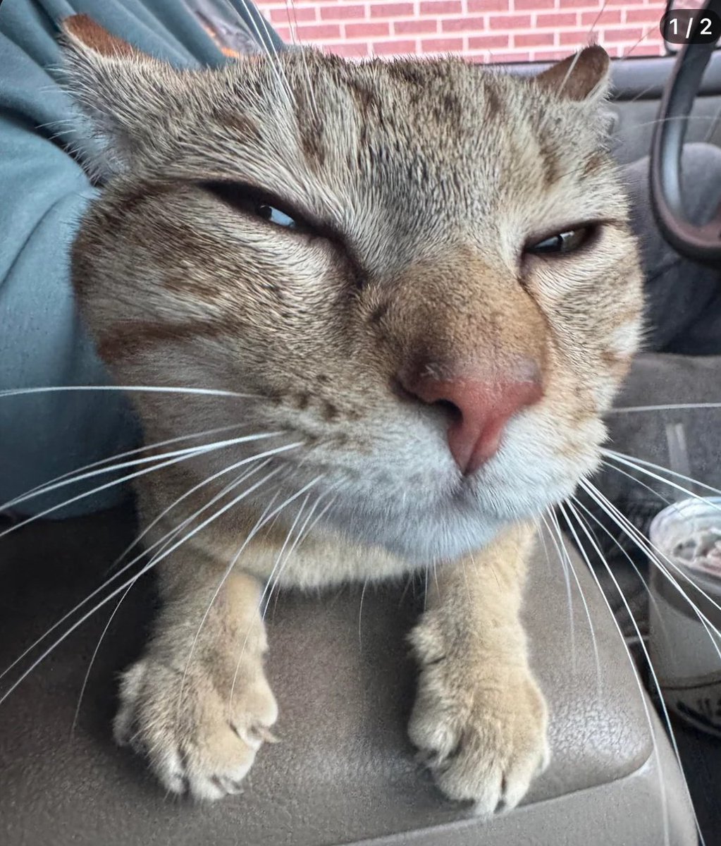 no me dijiste salud cuando estornudé..