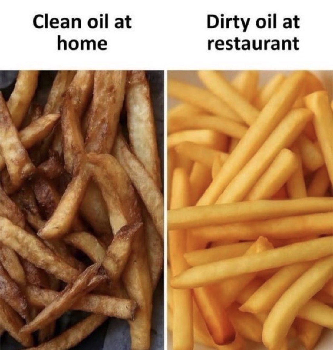 Out of Context Human Race tweet media