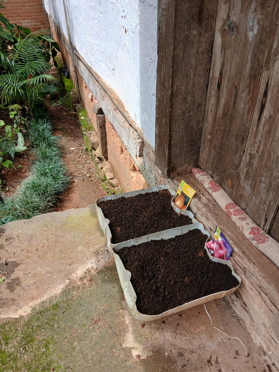 AgroforestDAO tweet media