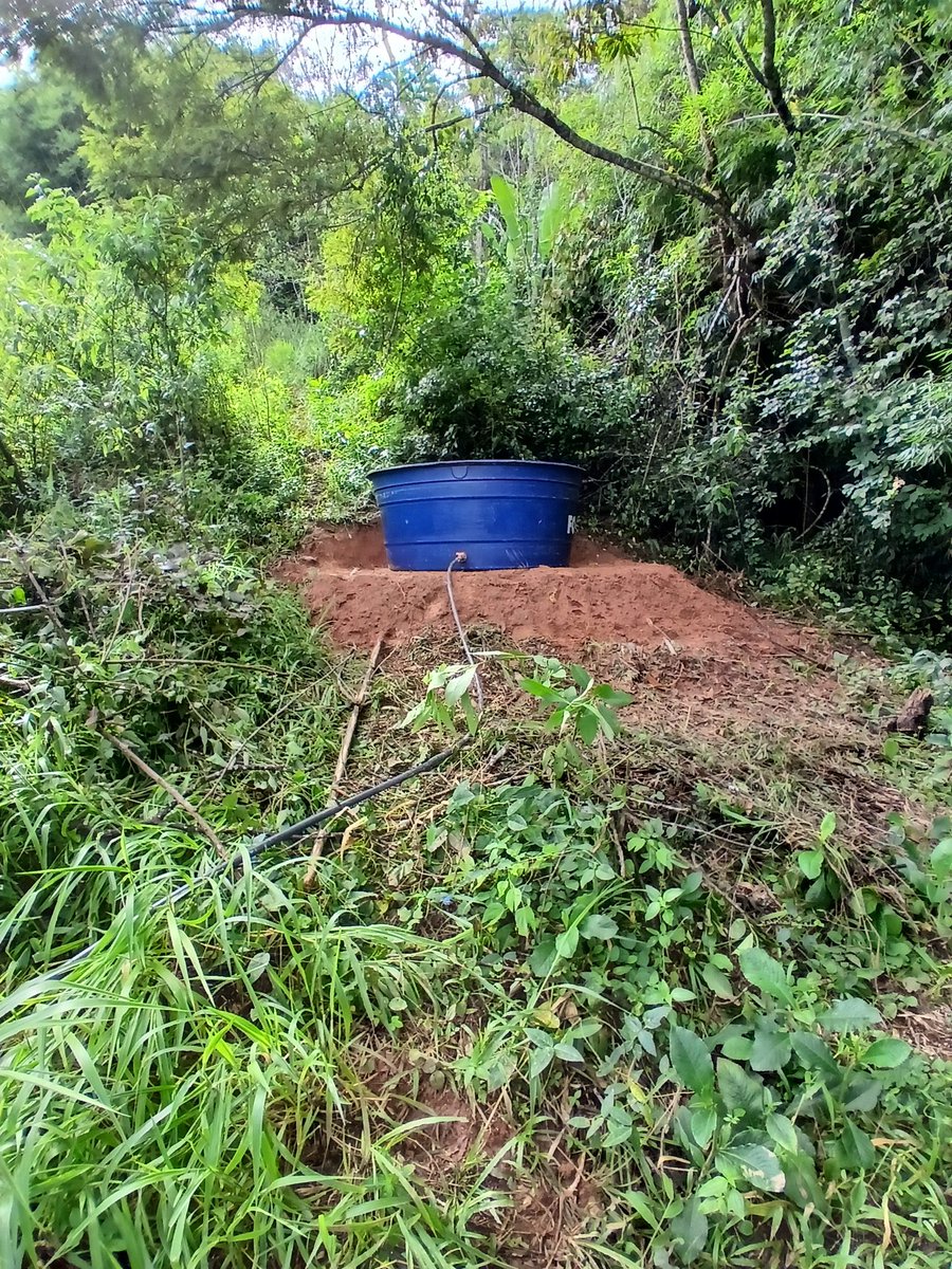 AgroforestDAO tweet media