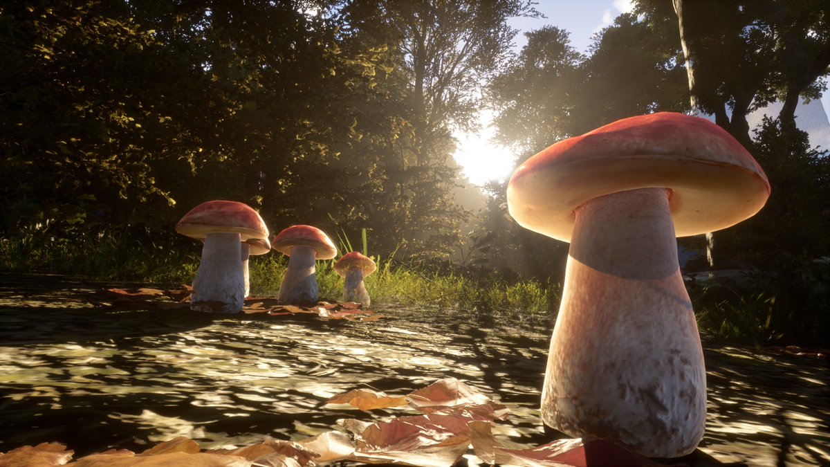 PlayPaxDei's tweet image. Have you yet encountered all the plants, fruits and flowers that exist in Pax Dei?
Share your best Pax Dei flora pictures in the comments!
#PaxDei #CommunityCreations #Fruits #Flowers