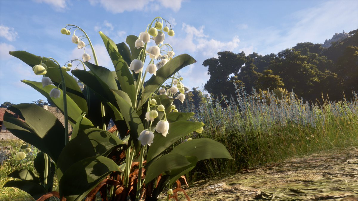 PlayPaxDei's tweet image. Have you yet encountered all the plants, fruits and flowers that exist in Pax Dei?
Share your best Pax Dei flora pictures in the comments!
#PaxDei #CommunityCreations #Fruits #Flowers