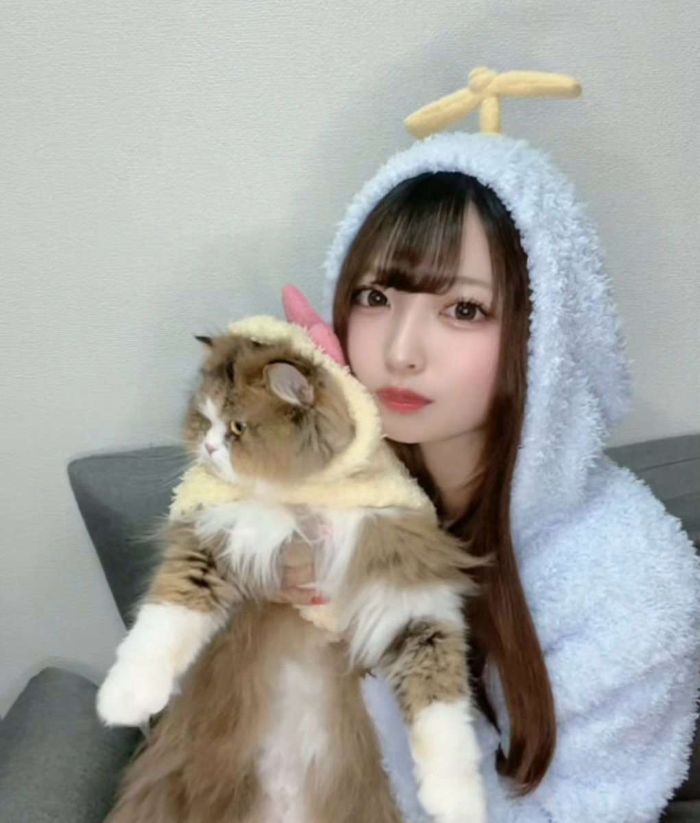 れいか (@aimai_reika) / Posts / X