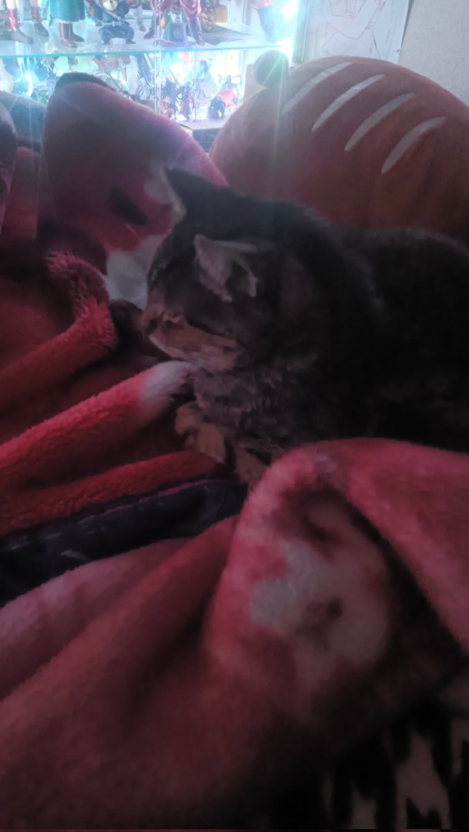 zirconia (@zc_spirit) / Posts / X