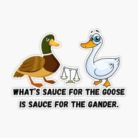 Yoh they keep on butchering the idiom. Why bother on using it?

#MadlangaCommission