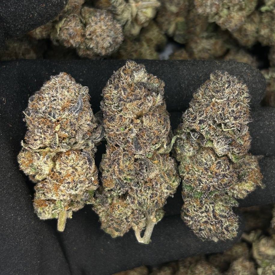 Silent Deal tweet media