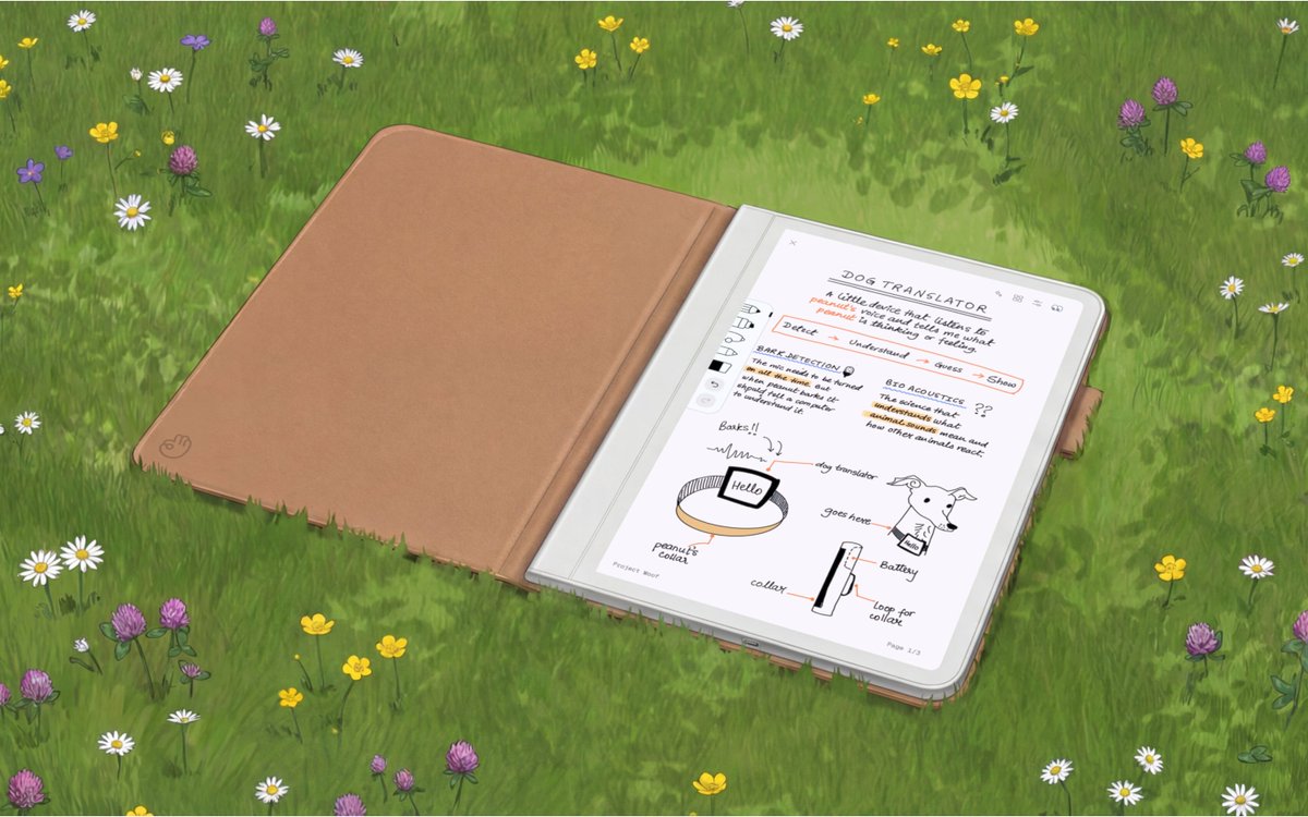 Suhani Ashok tweet media