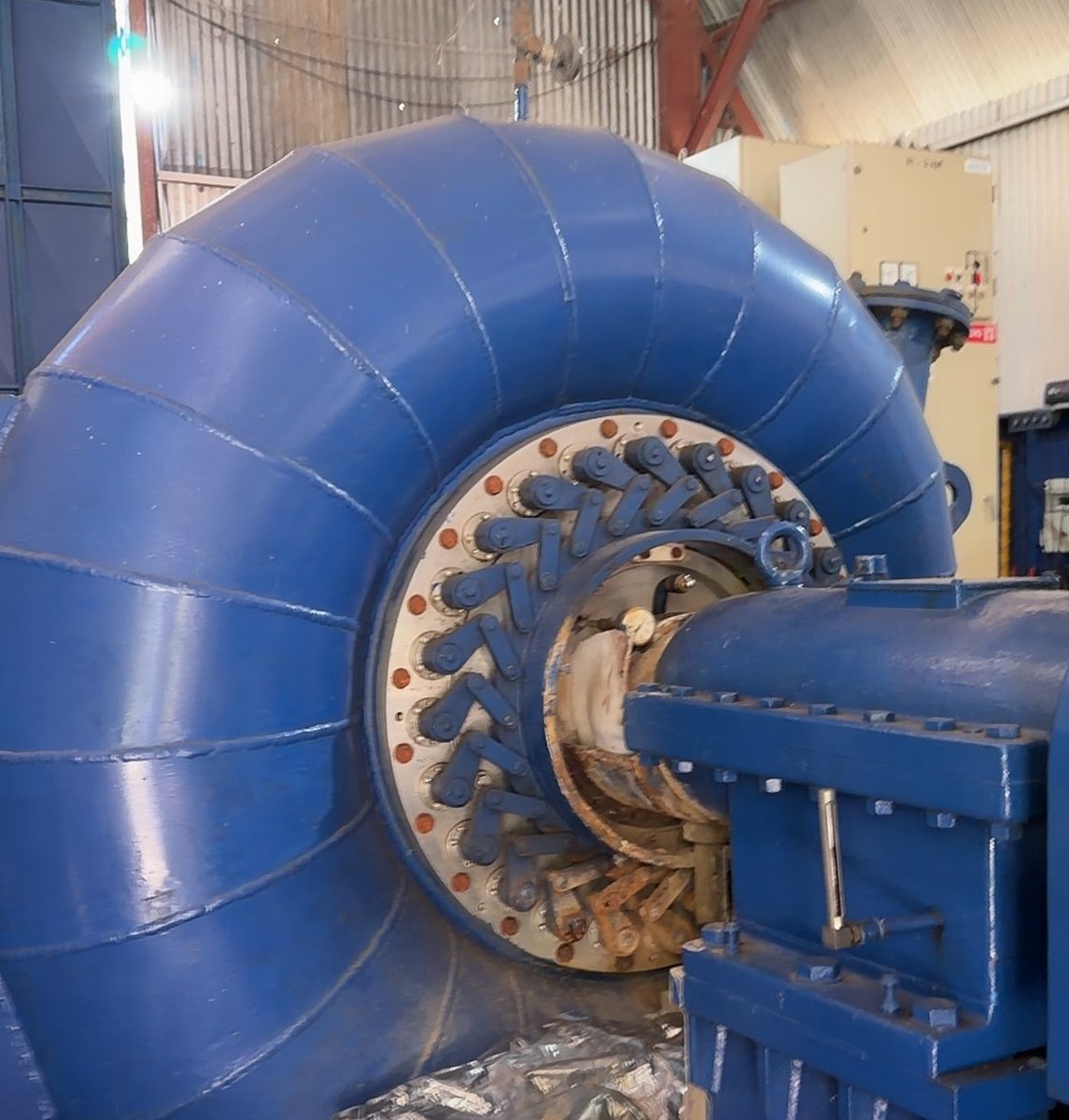 Junior ⚡️🍊 tweet media