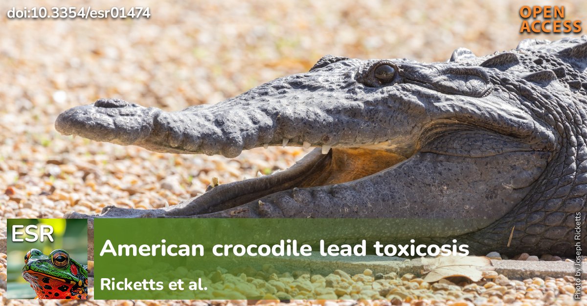 Endangered Species Research tweet media