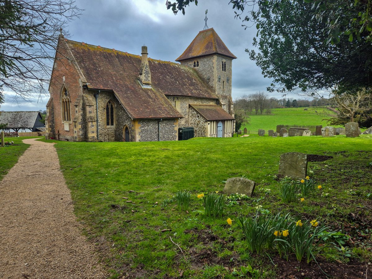 𝙃𝙚𝙙𝙡𝙚𝙮 𝙏𝙝𝙤𝙧𝙣𝙚 tweet media