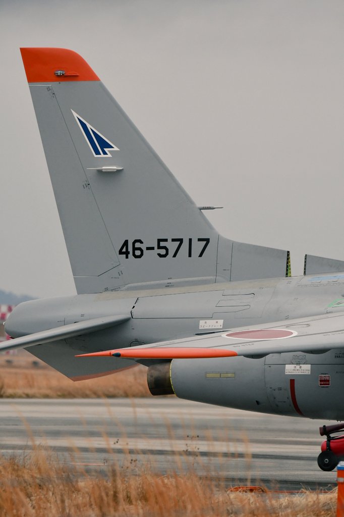 NO STEPチャレンジ😆射出座席···· #ブルーインパルス #松島基地