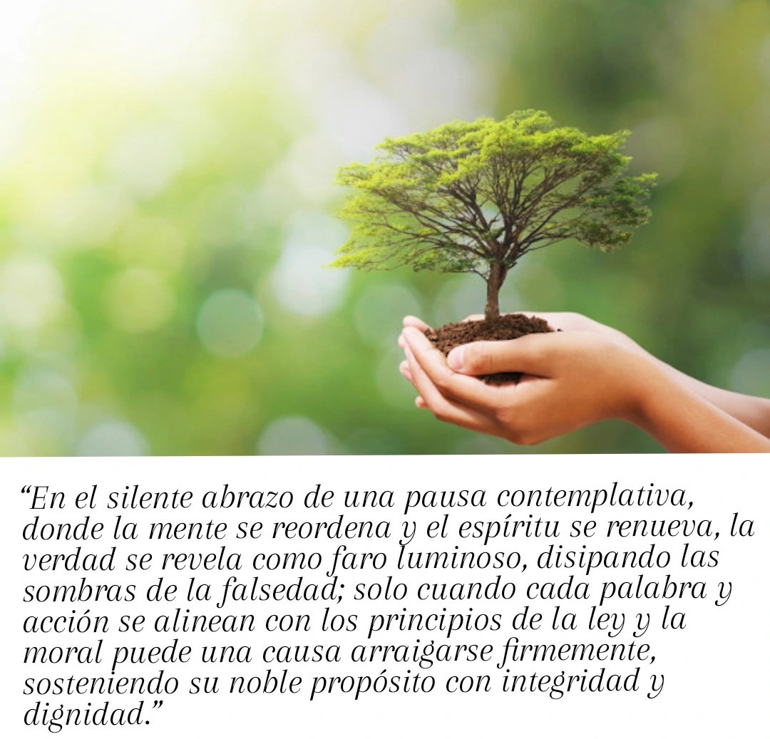 Lusvel13's tweet image. 1. La pausa es esencia 
2. La verdad siempre emerge 
3. El bien no se logra con el mal
4. El acto de "Robin Hood" no es heroico
5. La coherencia interna es clave

#justiciasocial 
#cambios
#transformar 
#resiliencia 
#menosesmas