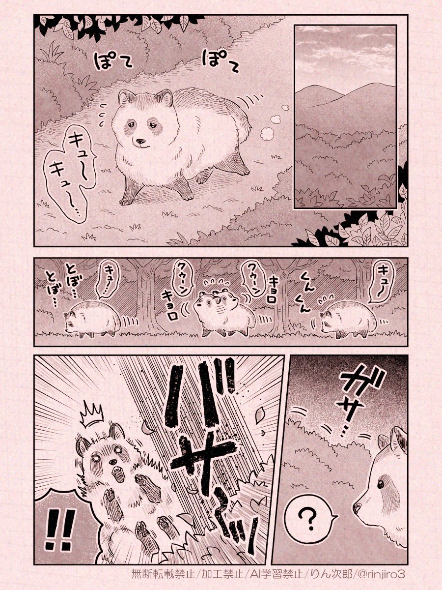 忍者さんとたぬき(1/3) 