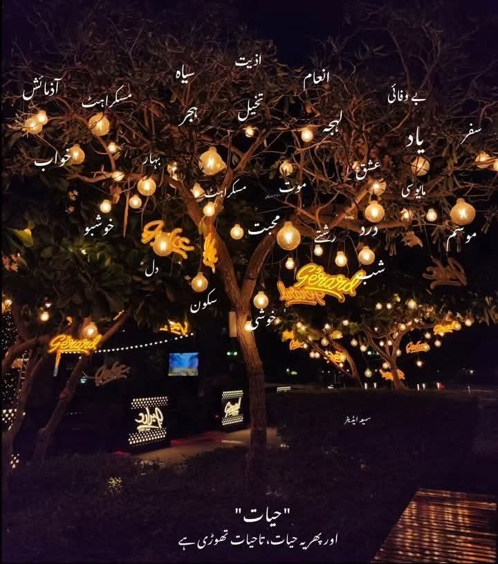 SaimaAhmed80's tweet photo. اکثر لوگ اپنے ہی دکھ، خوف یا الجھن کی بنیاد پر ردِعمل دیتے ہیں۔ آپ محض اتفاقاً اُس بوجھ کے راستے میں آ جاتے ہیں جو وہ اپنے اندر اٹھائے پھرتے ہیں۔۔۔

ہر بات کو دل پر رکھ لینا خود سے ناانصافی ہے، کیونکہ لوگوں کے لفظ اور رویّے اُن کی اپنی شخصیت کا عکس ہوتے ہیں، آپ کی پہچان نہیں۔۔۔ https://t.co/I63samTgKZ