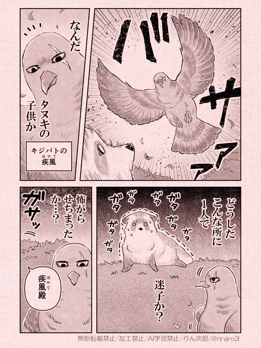 忍者さんとたぬき(2/3) 