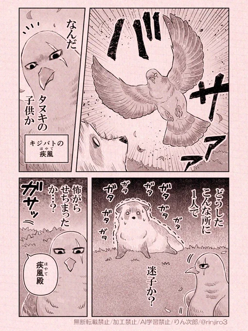 忍者さんとたぬき(2/3) 
