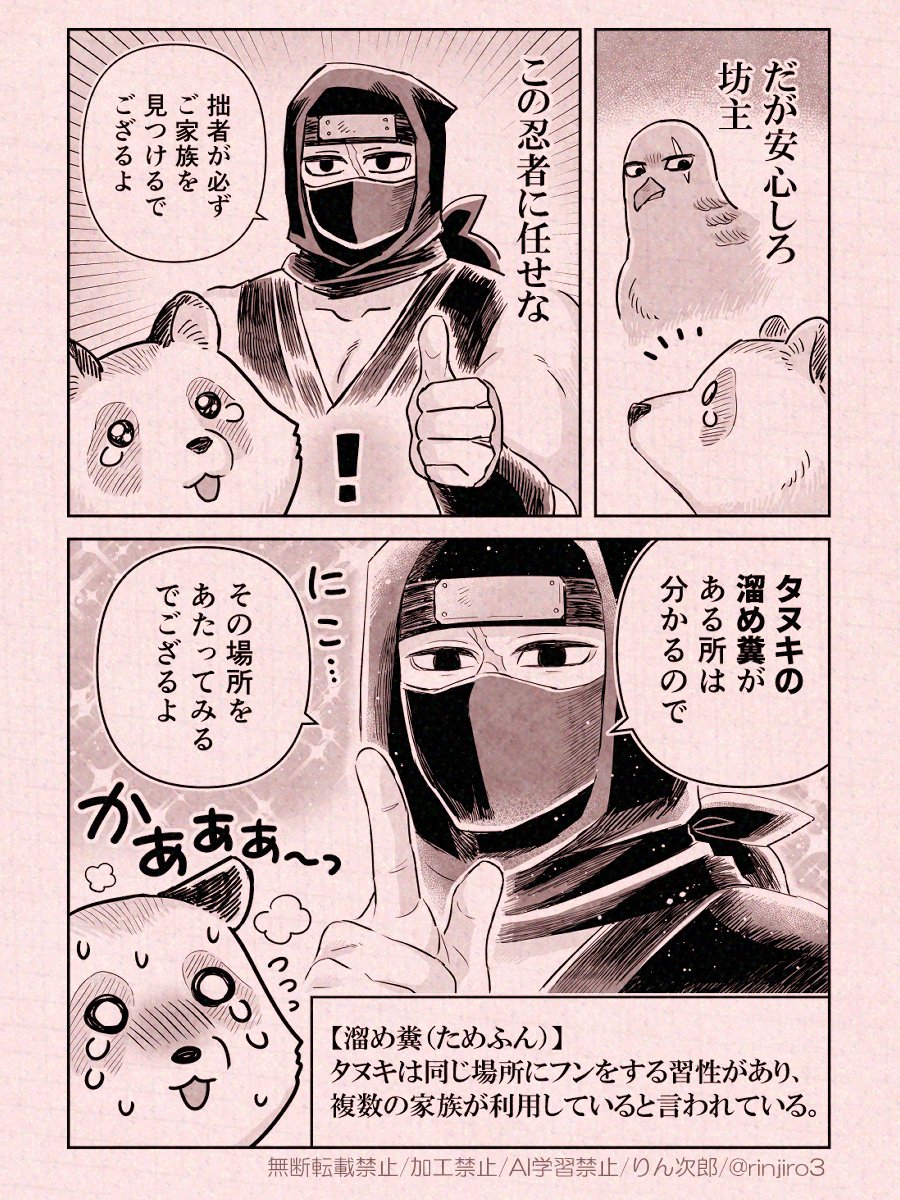 忍者さんとたぬき(2/3) 