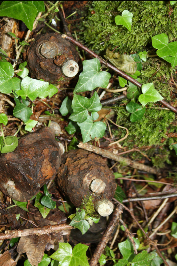 Discovering the frontline and beyond. tweet media