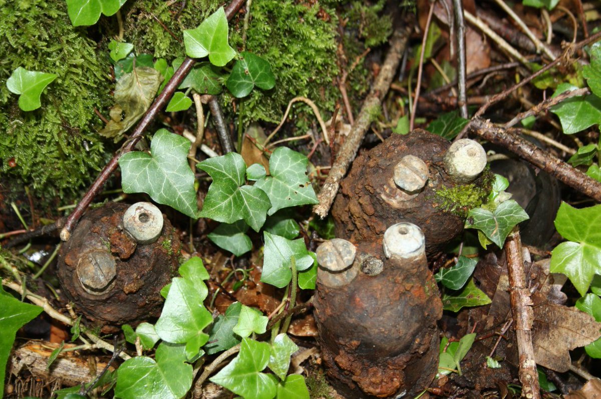 Discovering the frontline and beyond. tweet media