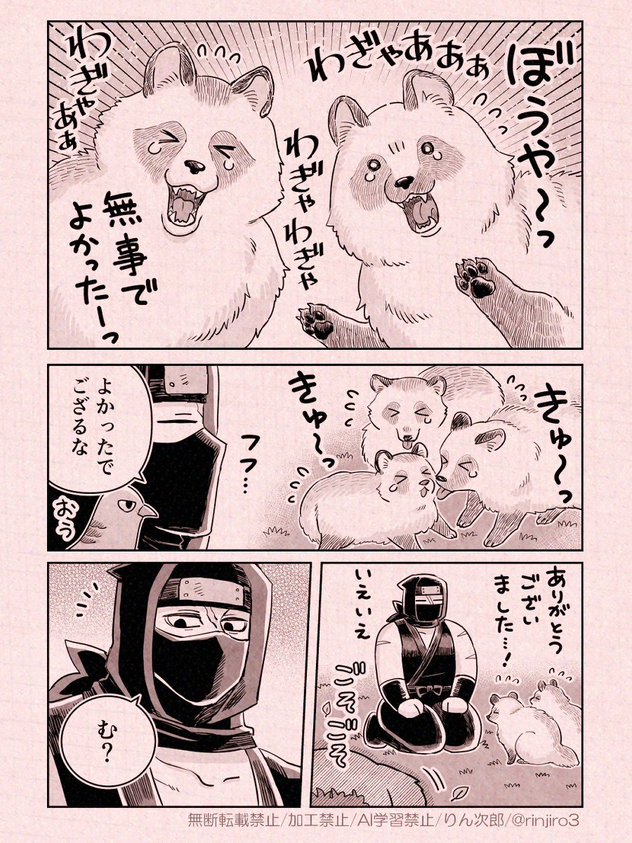 忍者さんとたぬき(3/3) 