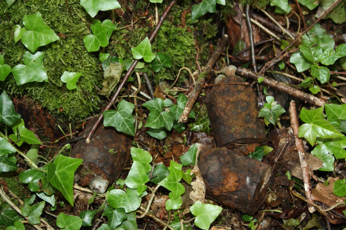 Discovering the frontline and beyond. tweet media