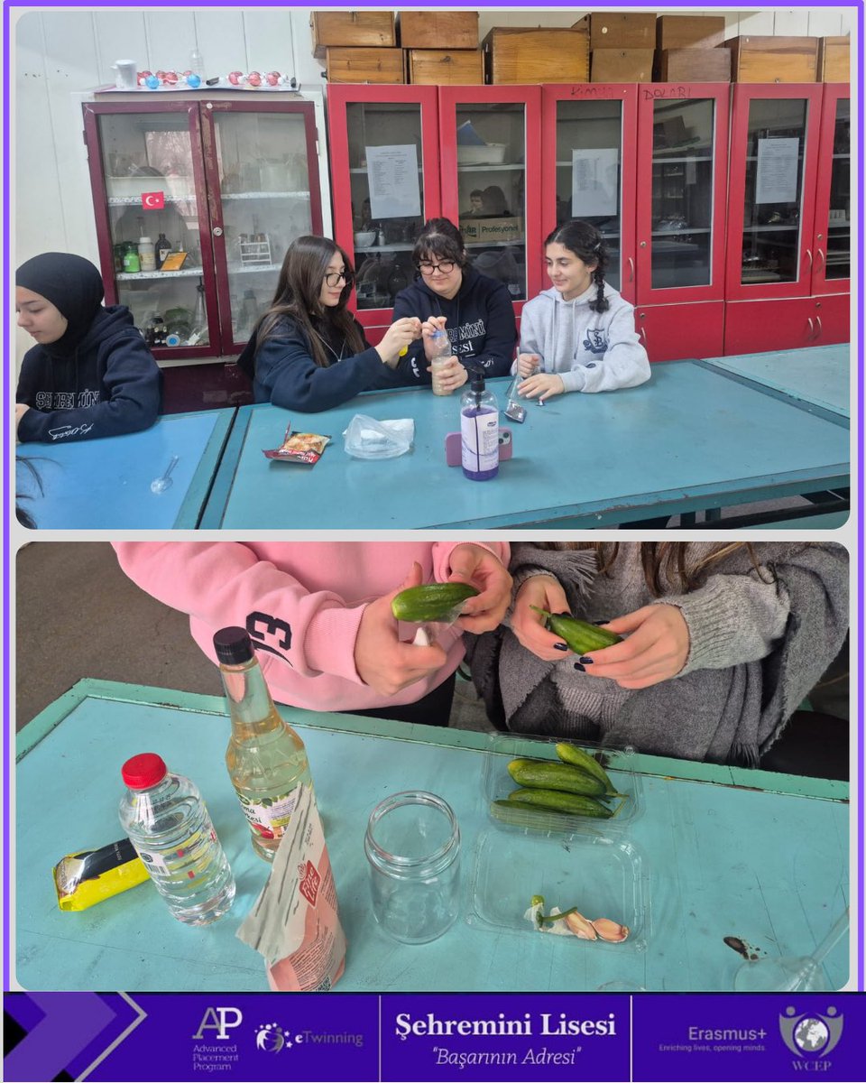 Sehremini Lisesi tweet media