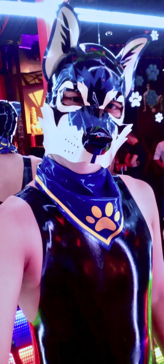 Ming Puppy BKK 🐾 tweet media