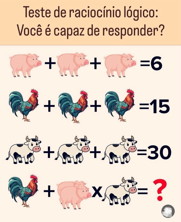 Nei Giglio🇧🇷🍀🇧🇷 tweet media